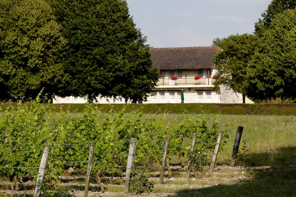 Chateau De Marcay Exterior foto