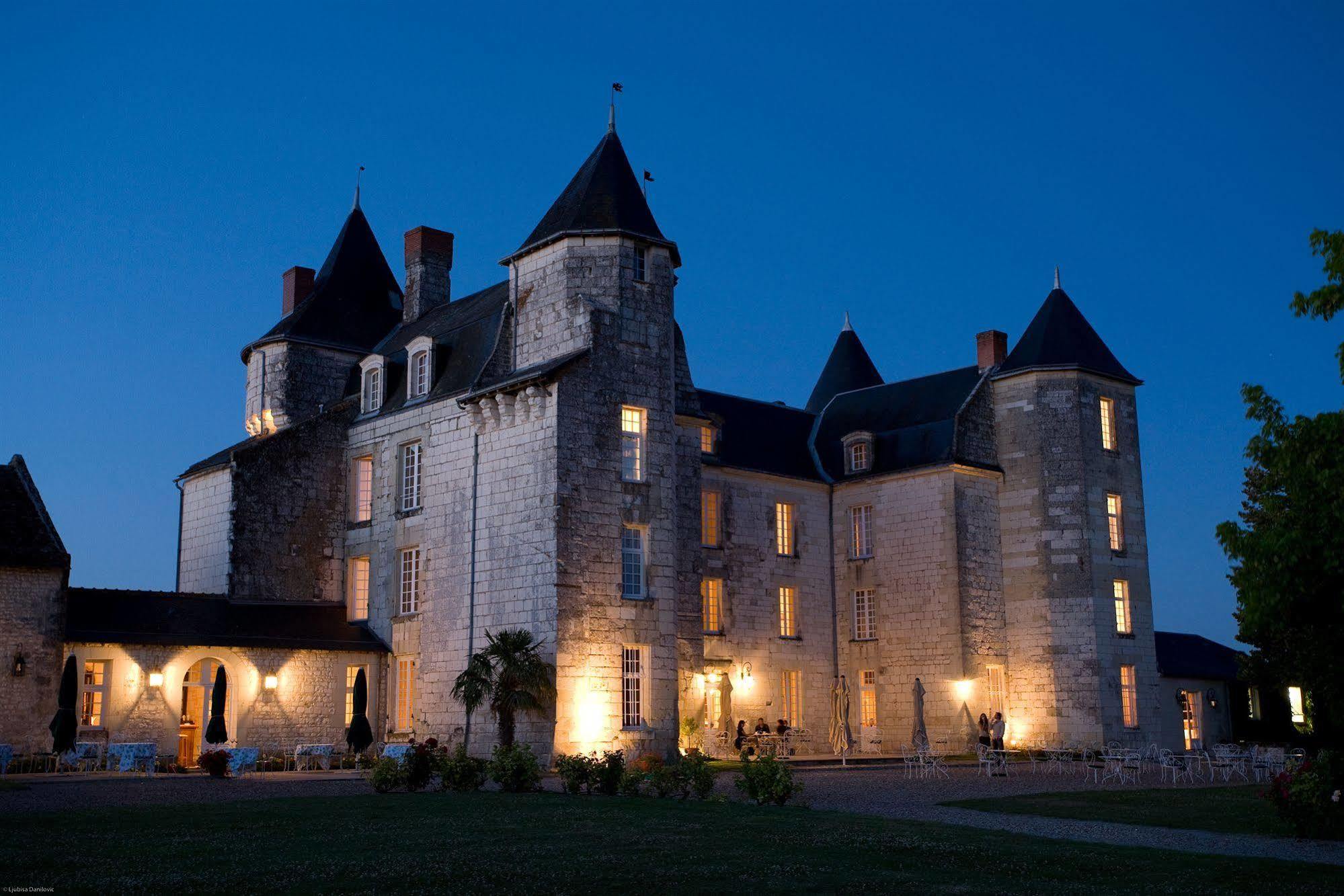 Chateau De Marcay Exterior foto
